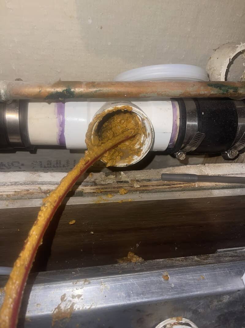 Opened drain line with thick grease sludge pouring out around the cleaning cable