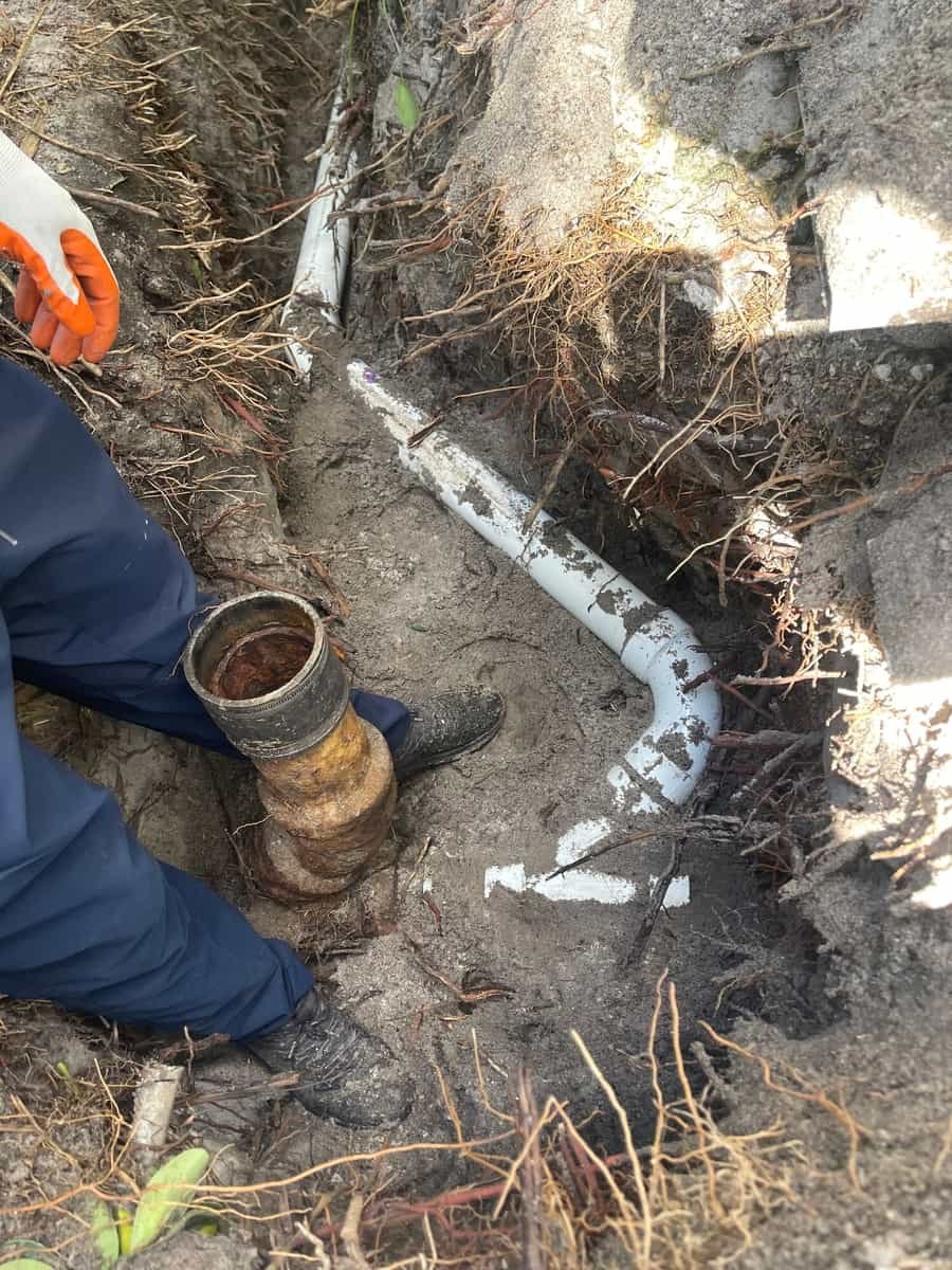 Excavated sewer connection with an old corroded cast iron stub, new PVC line and tree roots